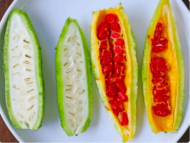 Bitter Melon: How To Grow This Exotic Vegetable In Containers At Home