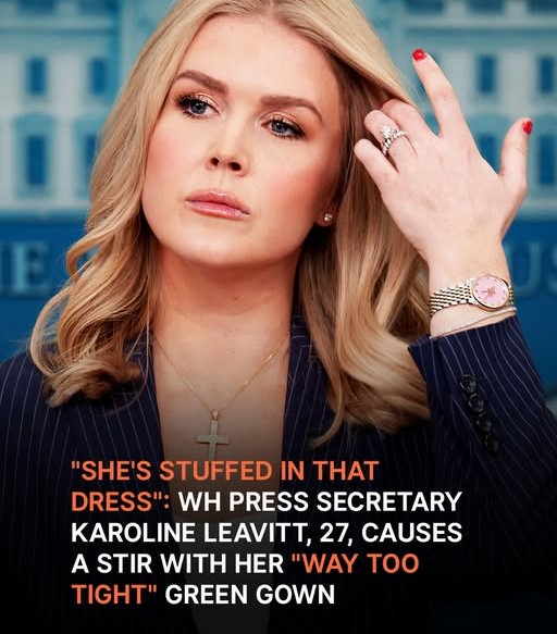 White House Press Secretary Karoline Leavitt’s ‘Way Too Tight’ Dress at a Press Gaggle Causes a Stir