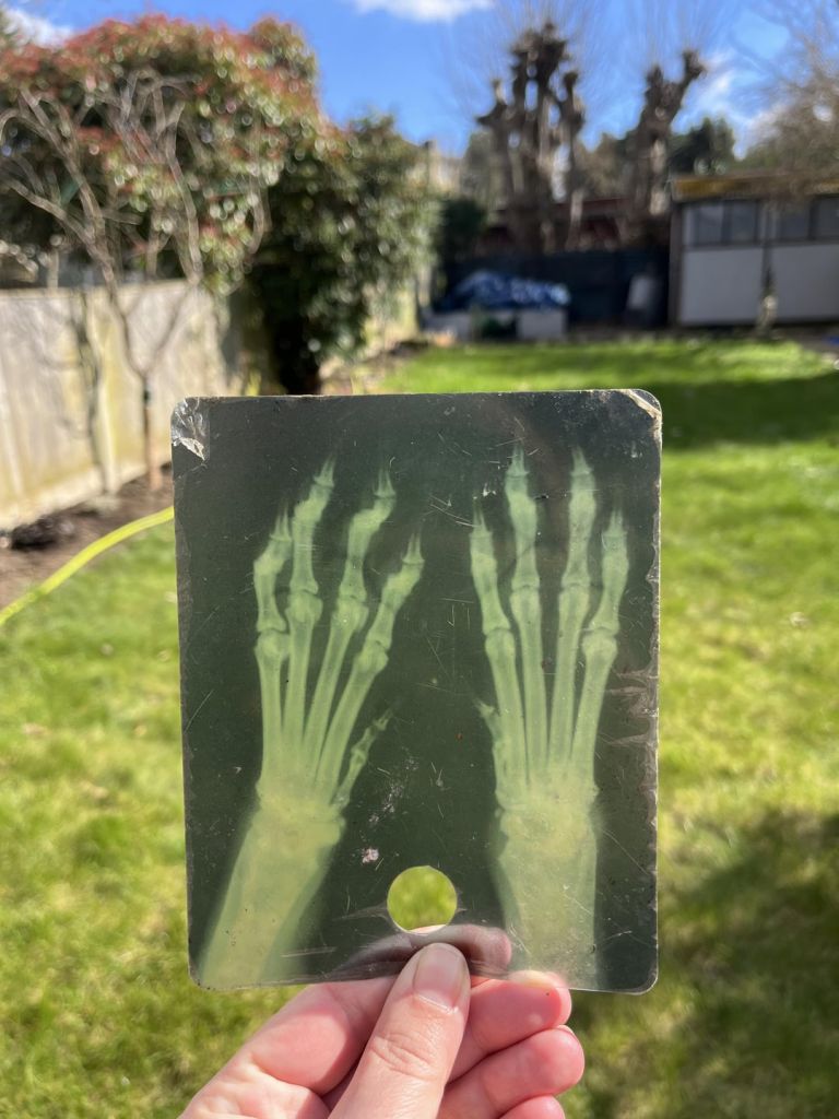 Found this X-ray in our garden, under a tarp we’d put down for winter (very strange) Anyone know what animal it is?