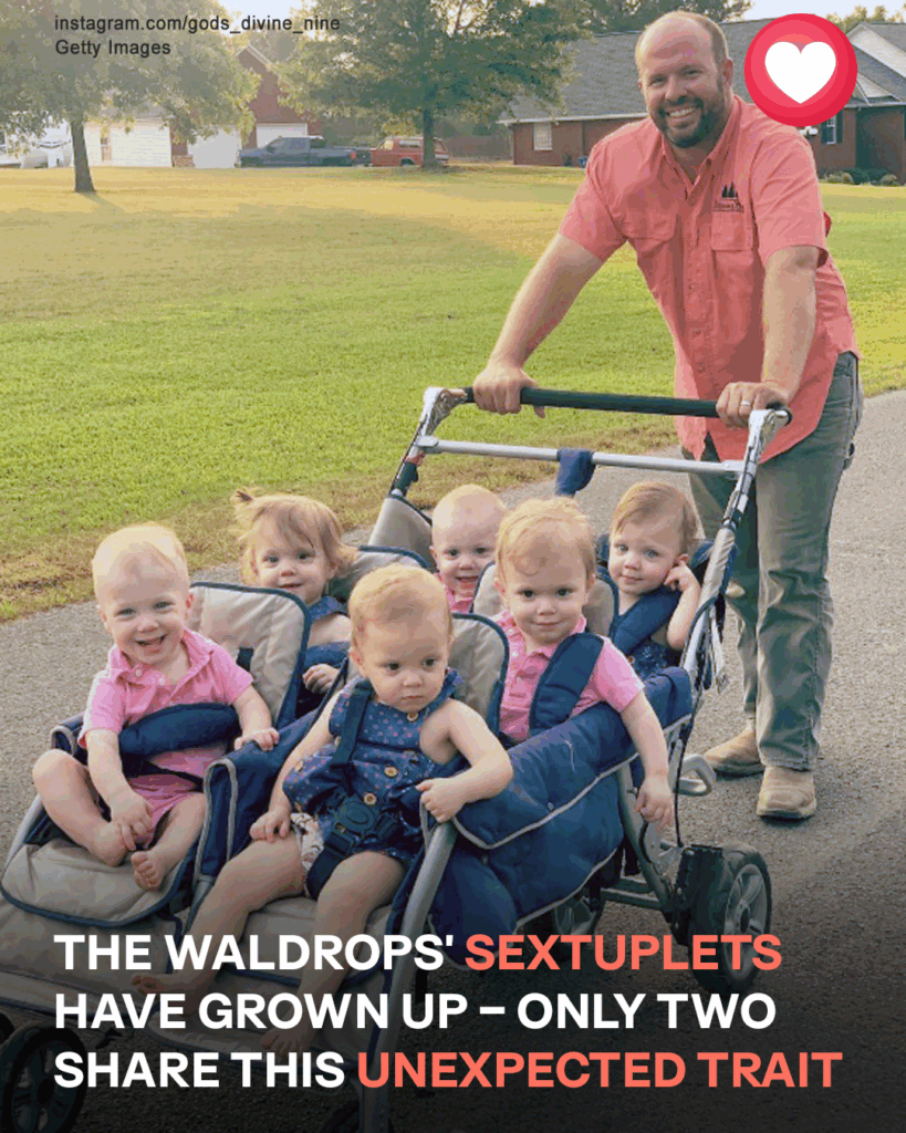It’s Been 7 Years Since the Show About the Waldrop Family Premiered — Meet the Couple’s Nine Kids, Including the Sextuplets and Twins