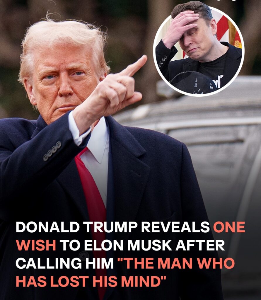 Donald Trump Reveals What He Wishes Elon Musk After Calling Him ‘The Man Who Has Lost His Mind’ – Video