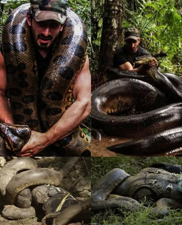 Man Who Tried To Get Eaten Alive By Snake Filmed The Whole Thing…