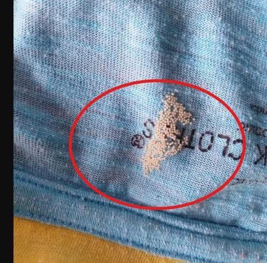 I was just doing laundry by the window yesterday when something unexpected made my heart pause.